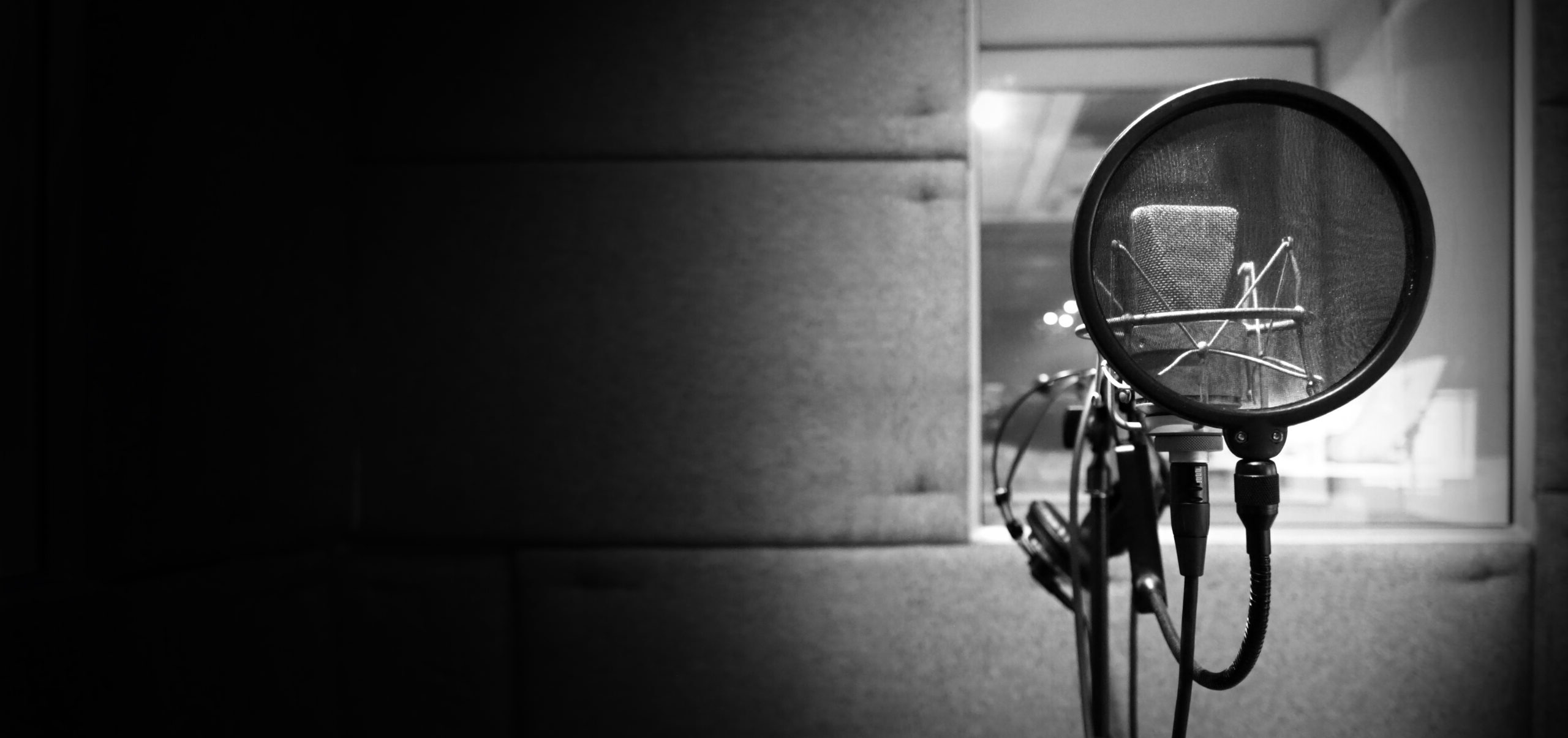 Studio microphone with shock mount and pop filter